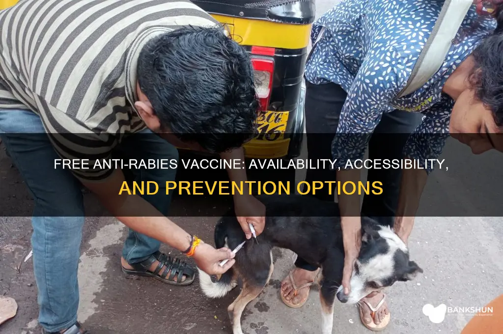 is there a free anti rabies vaccine