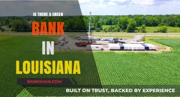 Exploring Louisiana's Green Banking Options: Is There an Eco-Friendly Bank?