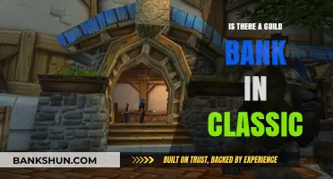 Classic WoW Guild Bank: Does It Exist and How to Use It?