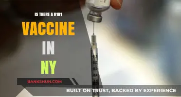 H1N1 Vaccine Availability in New York: What You Need to Know