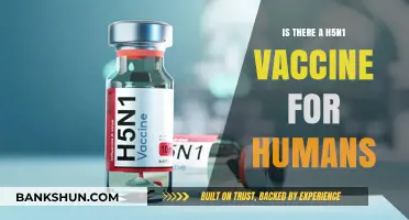H5N1 Vaccine for Humans: Availability, Efficacy, and Safety Explained