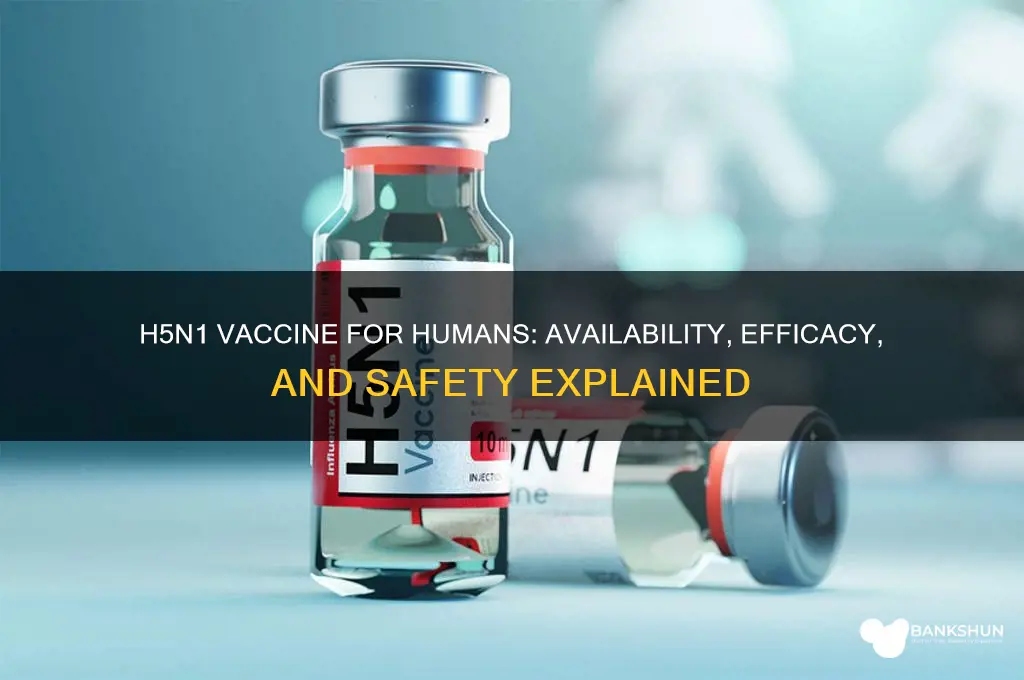 is there a h5n1 vaccine for humans