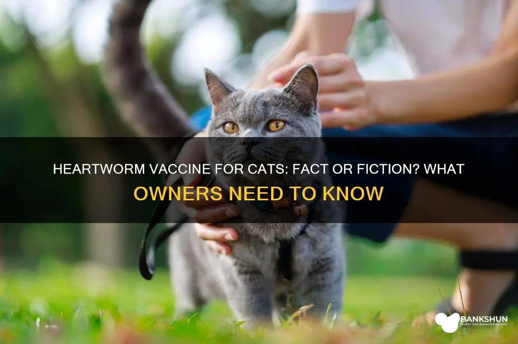 is there a heartworm vaccine for cats