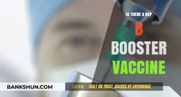 Hepatitis B Booster Vaccine: Do You Need One?