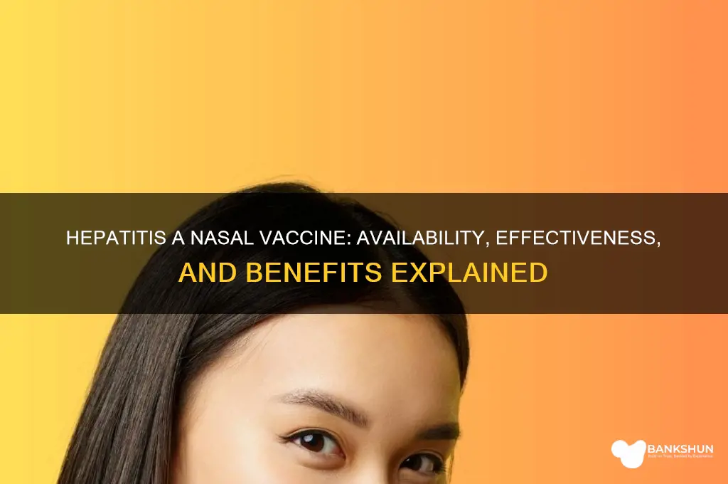 is there a hepatitis a naisle vaccine
