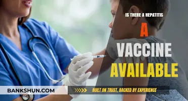 Hepatitis A Vaccine: Availability, Benefits, and Who Should Get It