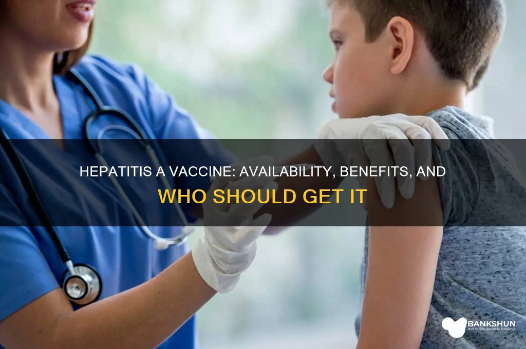 is there a hepatitis a vaccine available