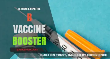 Hepatitis B Vaccine Booster: Do You Need One and When?
