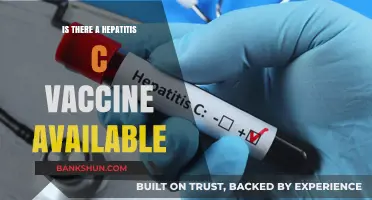 Hepatitis C Vaccine: Current Availability and Prevention Strategies Explained