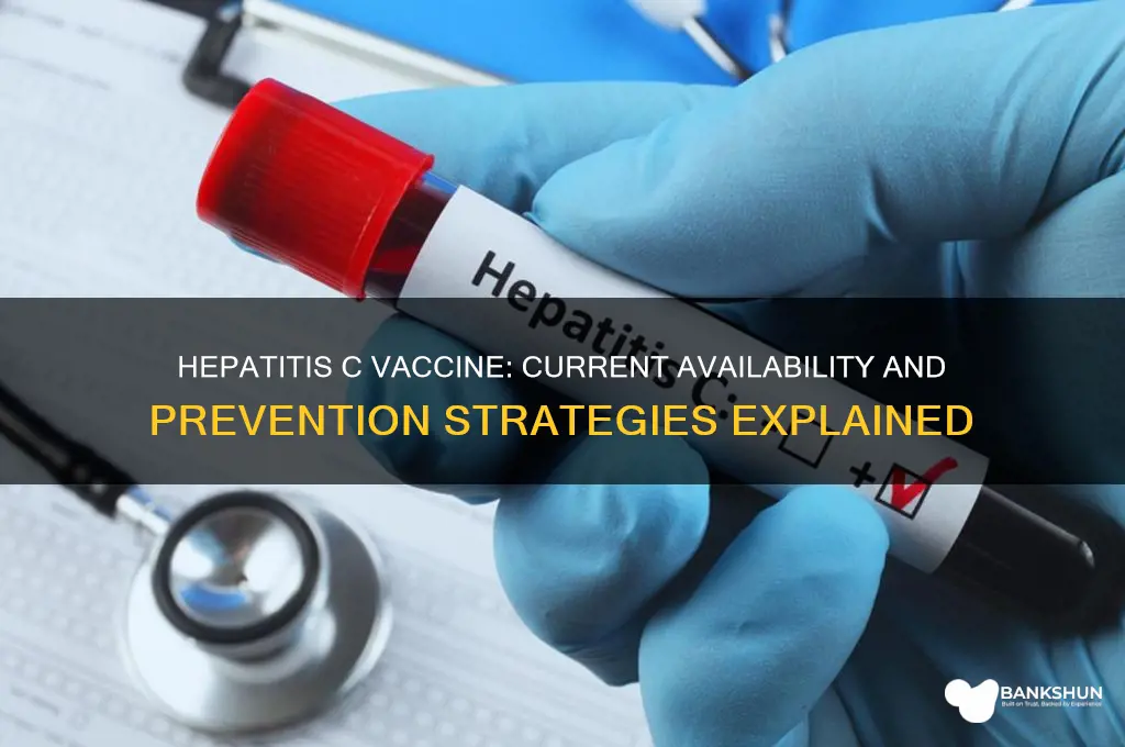 is there a hepatitis c vaccine available