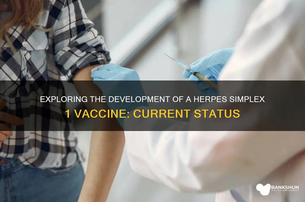 is there a herpes simplex 1 vaccine