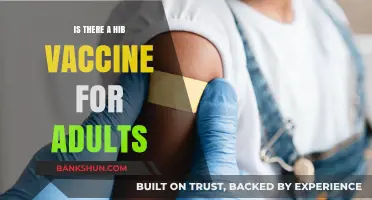 Adult Hib Vaccination: Availability, Benefits, and Who Needs It?