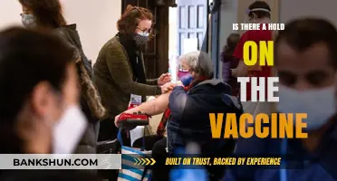 Vaccine Hold: Unraveling Delays, Concerns, and Distribution Challenges
