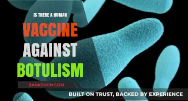 Human Botulism Vaccine: Current Status and Future Prospects