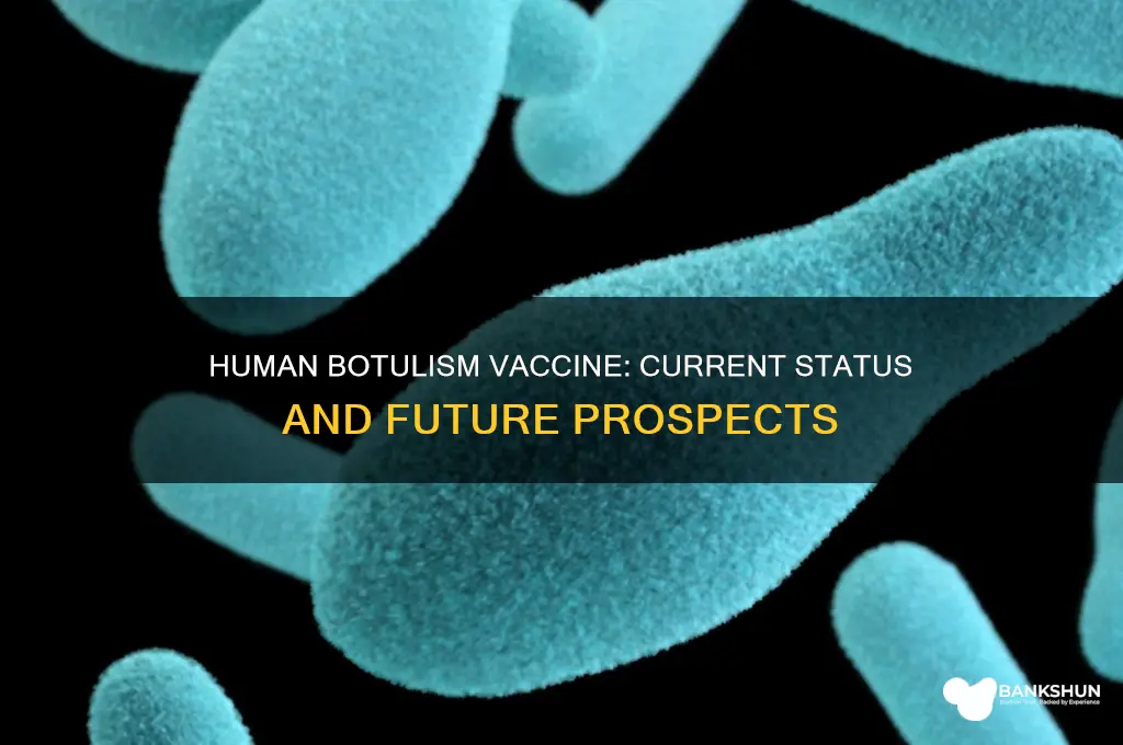 is there a human vaccine against botulism