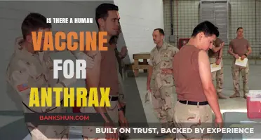 Human Anthrax Vaccine: Availability, Efficacy, and Current Status Explained