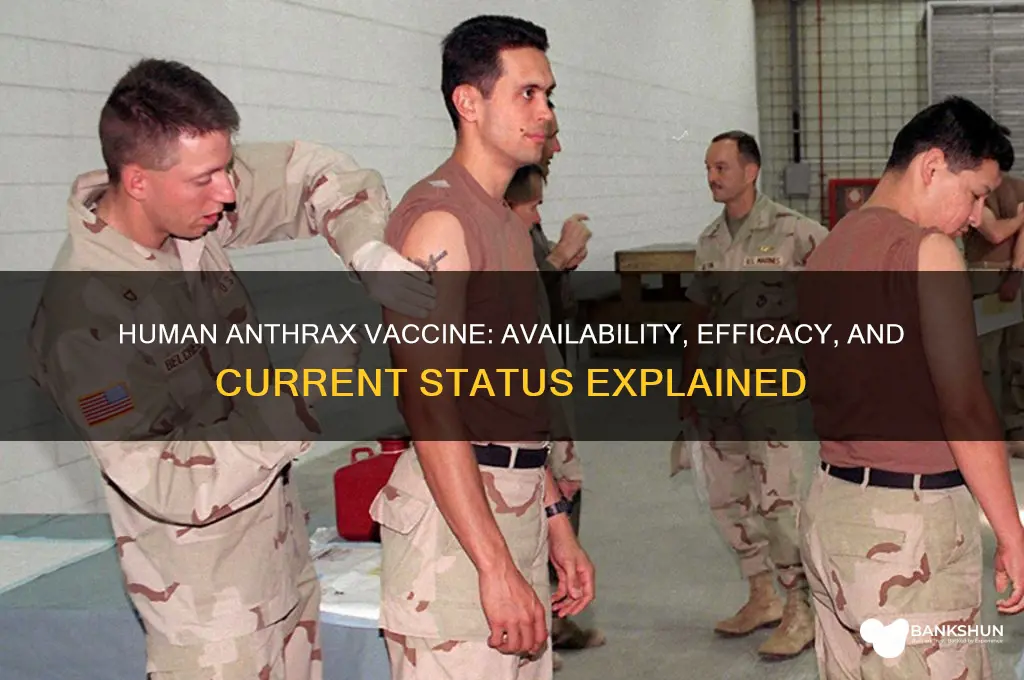 is there a human vaccine for anthrax