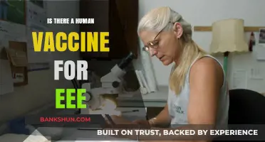 Exploring the Possibility of a Human Vaccine for EEE