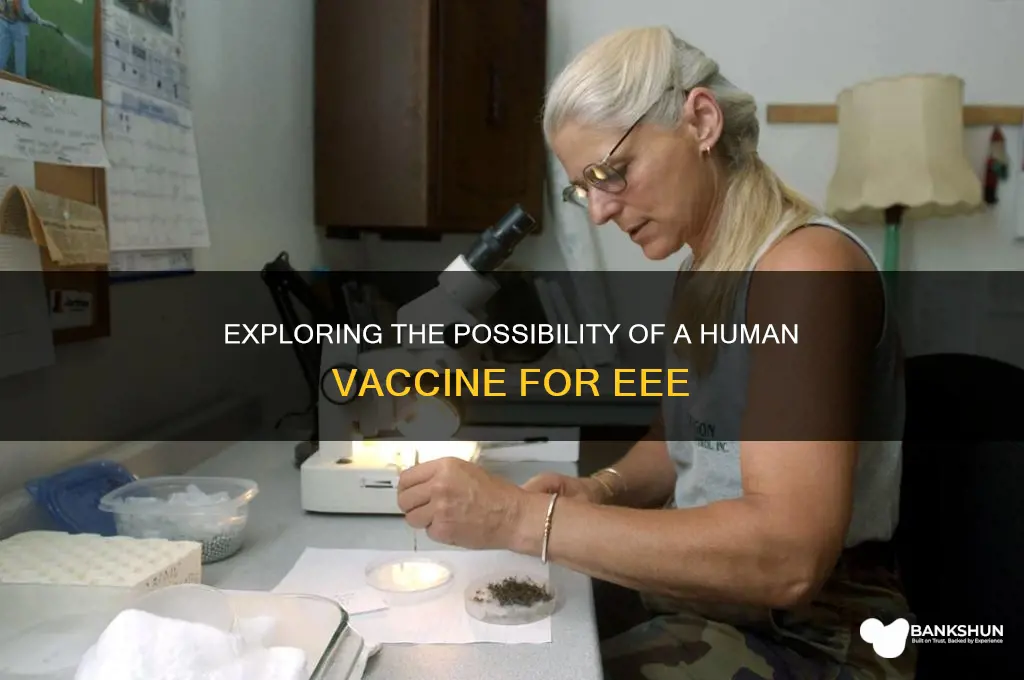 is there a human vaccine for eee