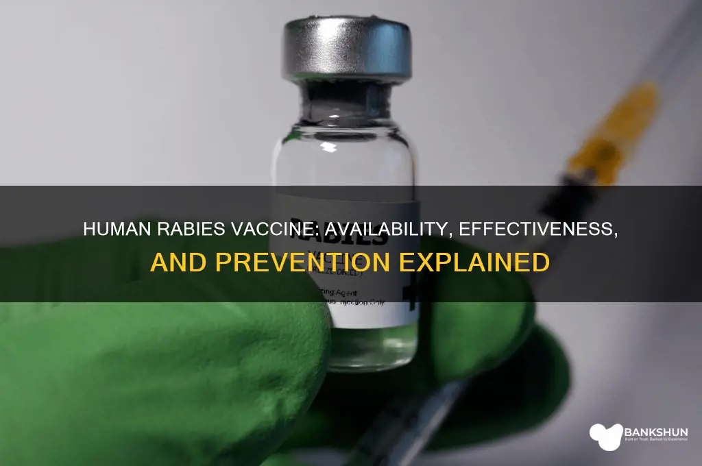 is there a human vaccine for rabies