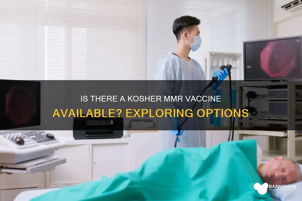 is there a kosher mmr vaccine product