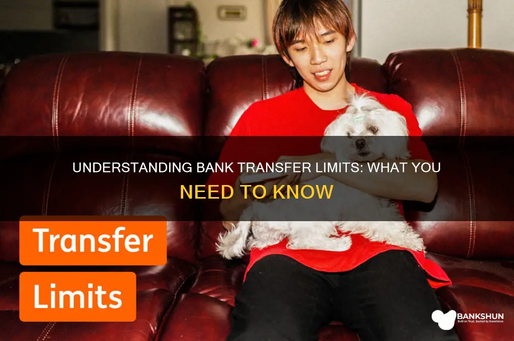 is there a limit for bank transfers