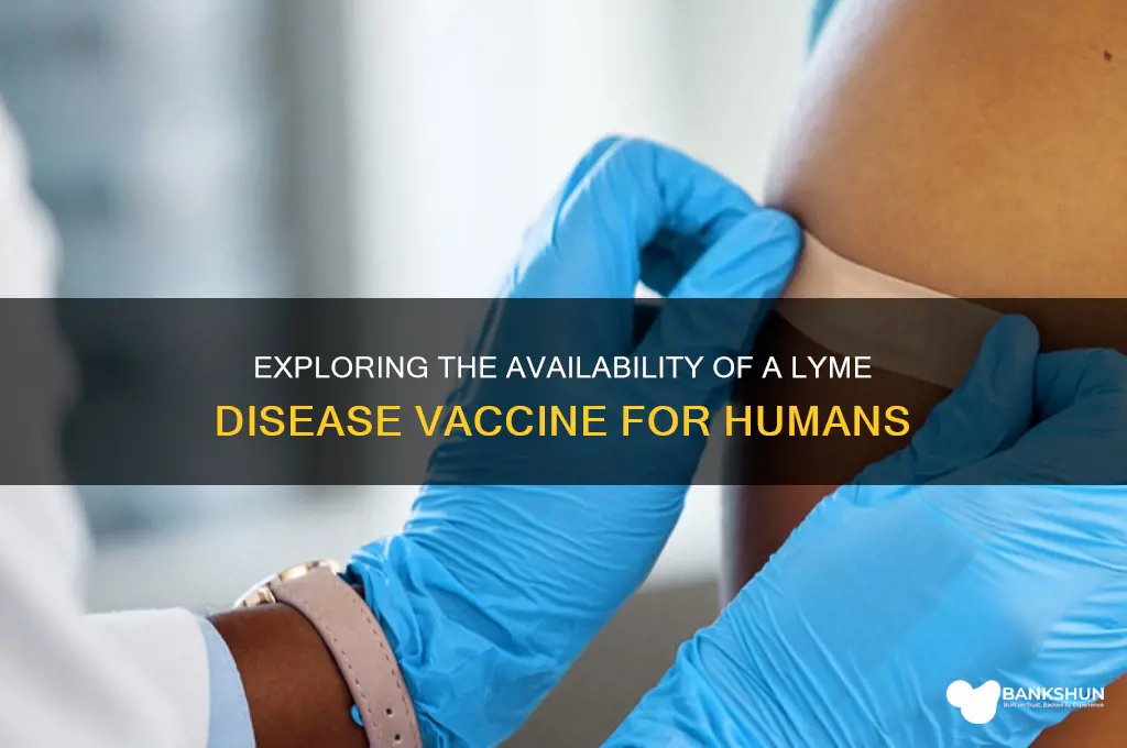 is there a lymes vaccine for humans