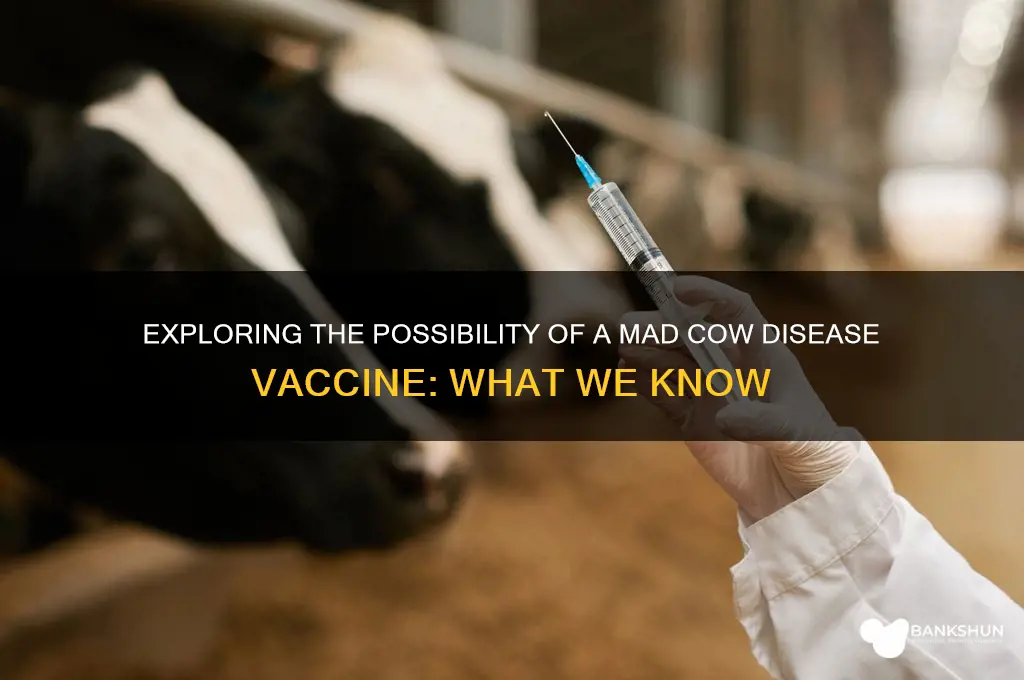 is there a mad cow disease vaccine