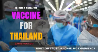 Mandatory Vaccines for Thailand: What Travelers Need to Know