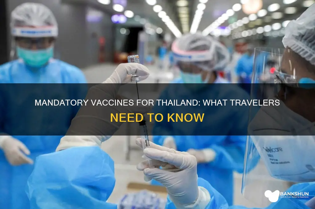 is there a mandatory vaccine for thailand