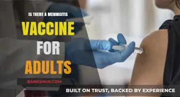 Adult Meningitis Vaccination: Essential Protection and Availability Explained