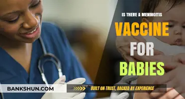 Protecting Infants: Meningitis Vaccine Availability for Babies Explained