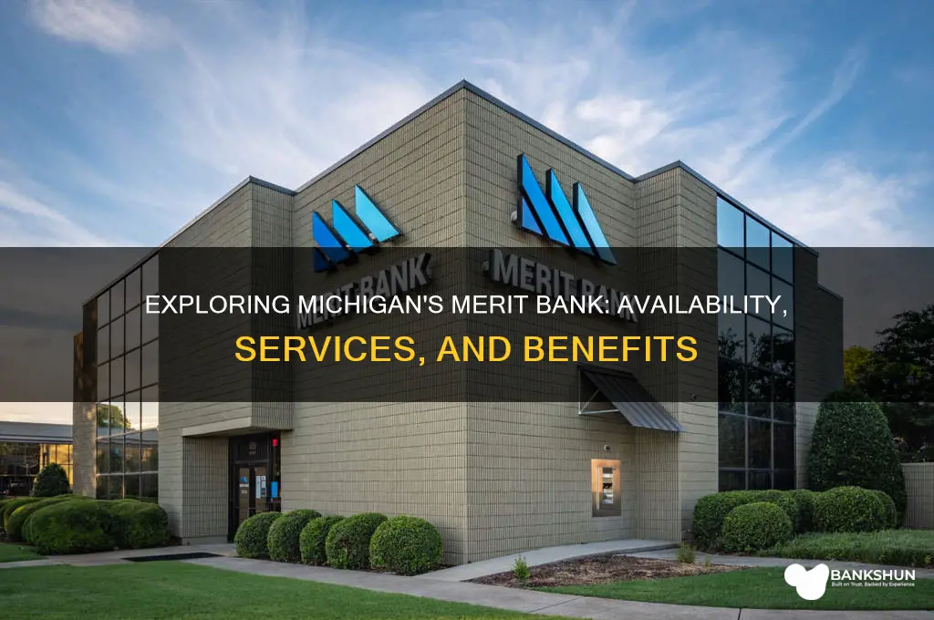 is there a merit bank in michigan