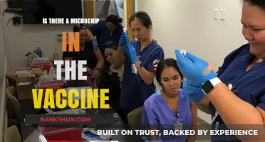 Microchip in Vaccines: Separating Fact from Fiction and Conspiracy