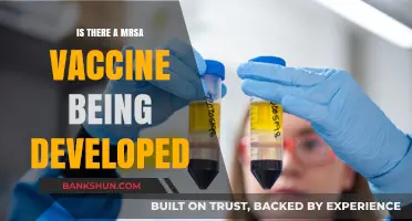 Is a MRSA Vaccine on the Horizon? Latest Developments