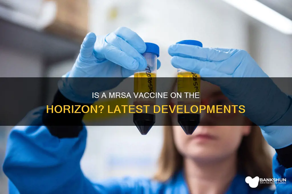 is there a mrsa vaccine being developed