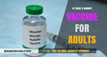 Adult Mumps Vaccination: Protection Options and Recommendations Explained