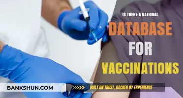 National Vaccination Database: Does It Exist and How Does It Work?