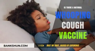 Exploring Natural Alternatives to the Whooping Cough Vaccine: What Works?