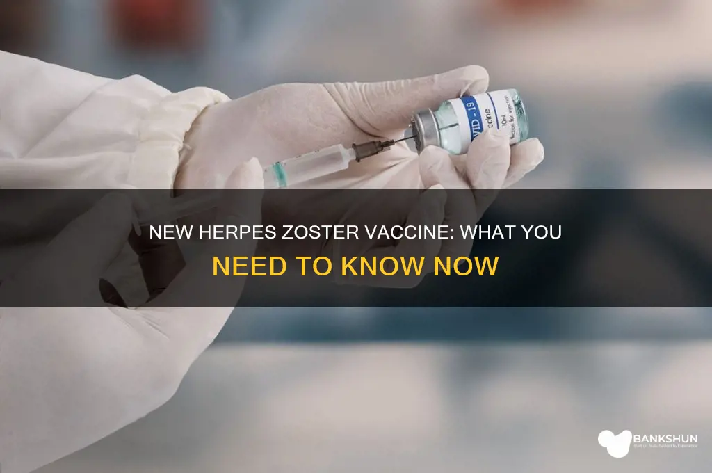 is there a new herpes zoster vaccine
