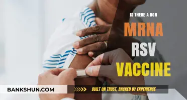 Exploring Non-mRNA RSV Vaccine Options: Latest Developments and Alternatives