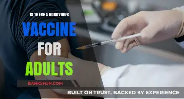 Norovirus Vaccine for Adults: Current Status and Future Prospects