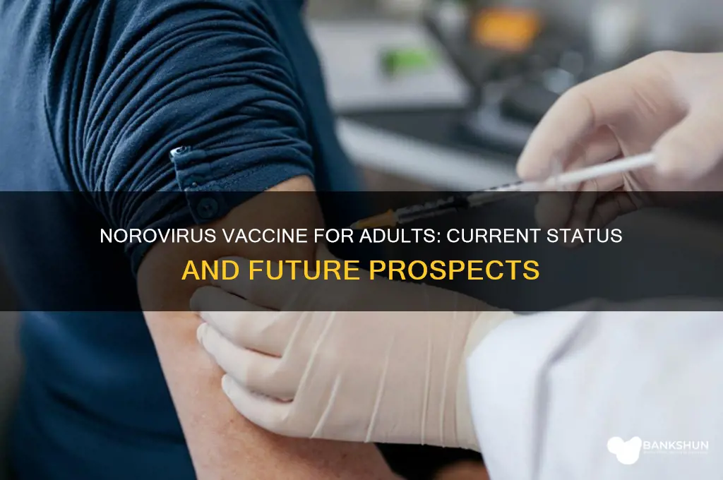 is there a norovirus vaccine for adults
