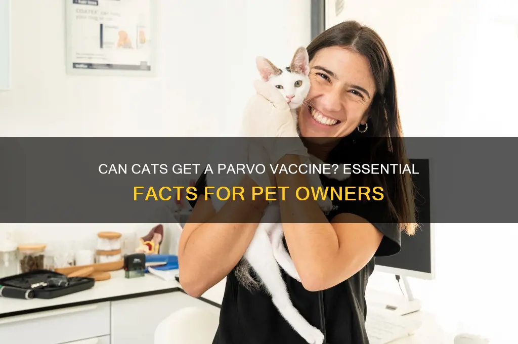is there a parvo vaccine for cats