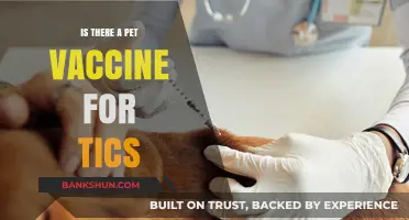 Pet Vaccines for Tics: Fact or Fiction? What Owners Need to Know