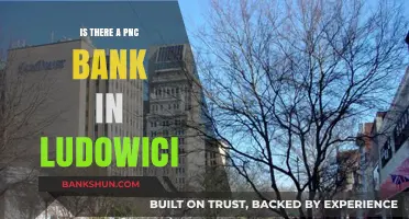 PNC Bank in Ludowici: Exploring Local Banking Options and Availability