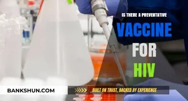Preventing HIV: The Quest for a Protective Vaccine Explained
