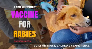 Preventing Rabies: Exploring the Availability of a Preventative Vaccine
