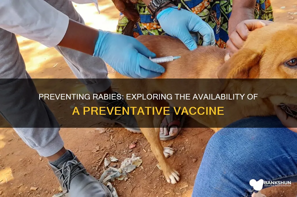 is there a preventative vaccine for rabies