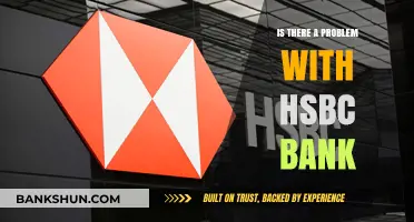 Is HSBC Bank Facing Serious Issues? A Critical Analysis